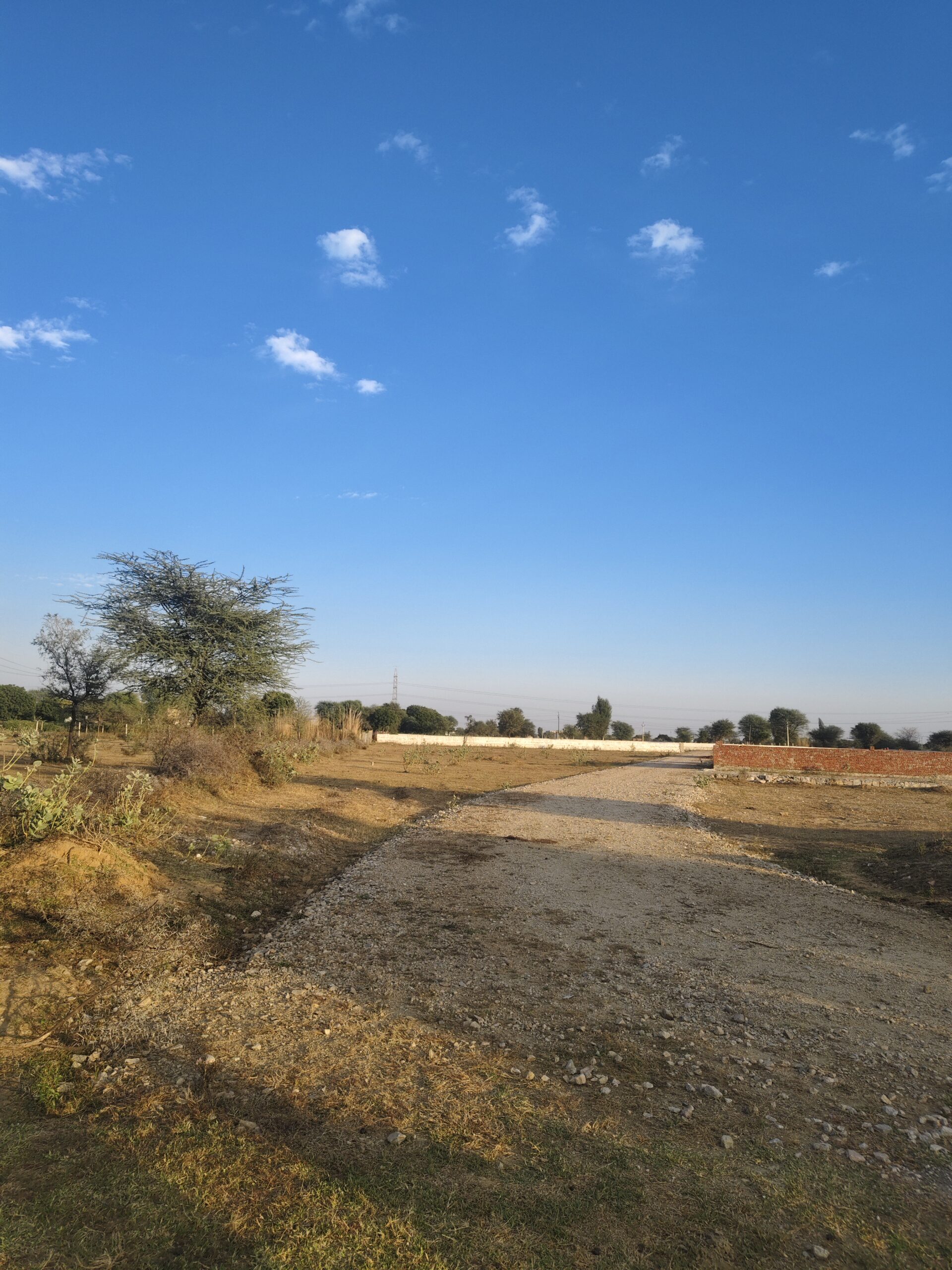 filter: 0; fileterIntensity: 0.0; filterMask: 0; captureOrientation: 90;
algolist: 0;
multi-frame: 1;
brp_mask:0;
brp_del_th:0.0000,0.0000;
brp_del_sen:0.0000,0.0000;
motionR: 0;
delta:null;
module: photo;hw-remosaic: false;touch: (-1.0, -1.0);sceneMode: 8;cct_value: 0;AI_Scene: (1, 0);aec_lux: 121.252914;aec_lux_index: 0;albedo:  ;confidence:  ;motionLevel: 0;weatherinfo: null;temperature: 36;